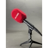 Esponja Microfone